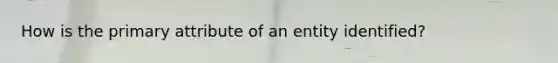 How is the primary attribute of an entity identified?