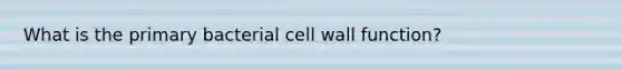 What is the primary bacterial cell wall function?