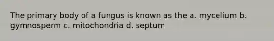 The primary body of a fungus is known as the a. mycelium b. gymnosperm c. mitochondria d. septum
