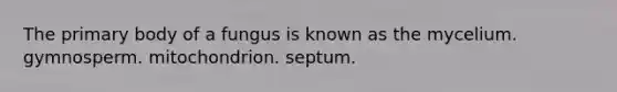 The primary body of a fungus is known as the mycelium. gymnosperm. mitochondrion. septum.