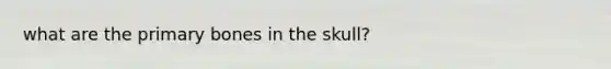 what are the primary bones in the skull?