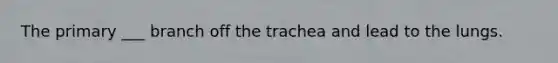 The primary ___ branch off the trachea and lead to the lungs.