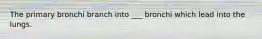 The primary bronchi branch into ___ bronchi which lead into the lungs.