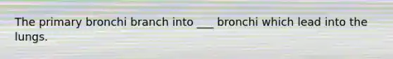 The primary bronchi branch into ___ bronchi which lead into the lungs.