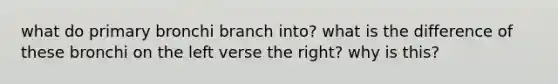 what do primary bronchi branch into? what is the difference of these bronchi on the left verse the right? why is this?