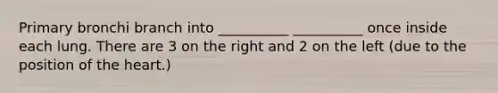 Primary bronchi branch into __________ __________ once inside each lung. There are 3 on the right and 2 on the left (due to the position of the heart.)
