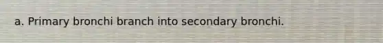 a. Primary bronchi branch into secondary bronchi.