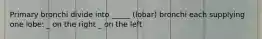 Primary bronchi divide into _____ (lobar) bronchi each supplying one lobe: _ on the right _ on the left