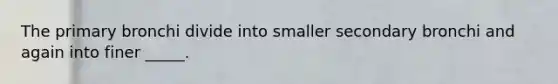 The primary bronchi divide into smaller secondary bronchi and again into finer _____.