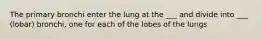 The primary bronchi enter the lung at the ___ and divide into ___ (lobar) bronchi, one for each of the lobes of the lungs