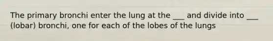 The primary bronchi enter the lung at the ___ and divide into ___ (lobar) bronchi, one for each of the lobes of the lungs