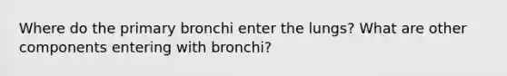 Where do the primary bronchi enter the lungs? What are other components entering with bronchi?