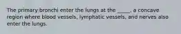 The primary bronchi enter the lungs at the _____, a concave region where blood vessels, lymphatic vessels, and nerves also enter the lungs.