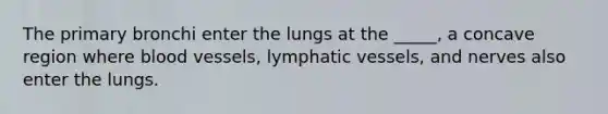 The primary bronchi enter the lungs at the _____, a concave region where blood vessels, lymphatic vessels, and nerves also enter the lungs.