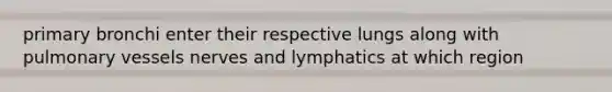 primary bronchi enter their respective lungs along with pulmonary vessels nerves and lymphatics at which region