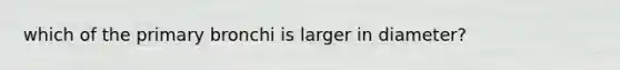 which of the primary bronchi is larger in diameter?