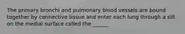 The primary bronchi and pulmonary blood vessels are bound together by connective tissue and enter each lung through a slit on the medial surface called the ______