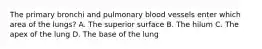 The primary bronchi and pulmonary blood vessels enter which area of the lungs? A. The superior surface B. The hilum C. The apex of the lung D. The base of the lung