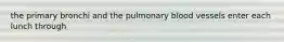 the primary bronchi and the pulmonary blood vessels enter each lunch through