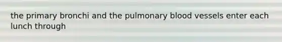 the primary bronchi and the pulmonary blood vessels enter each lunch through