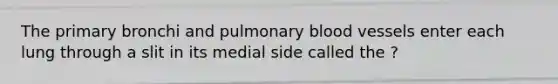 The primary bronchi and pulmonary blood vessels enter each lung through a slit in its medial side called the ?