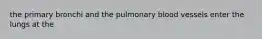 the primary bronchi and the pulmonary blood vessels enter the lungs at the