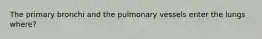 The primary bronchi and the pulmonary vessels enter the lungs where?