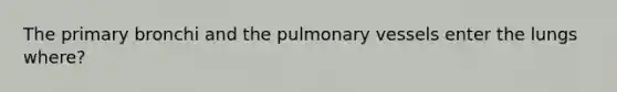 The primary bronchi and the pulmonary vessels enter the lungs where?