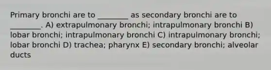 Primary bronchi are to ________ as secondary bronchi are to ________. A) extrapulmonary bronchi; intrapulmonary bronchi B) lobar bronchi; intrapulmonary bronchi C) intrapulmonary bronchi; lobar bronchi D) trachea; pharynx E) secondary bronchi; alveolar ducts