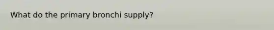 What do the primary bronchi supply?