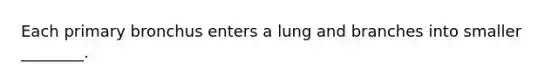 Each primary bronchus enters a lung and branches into smaller ________.