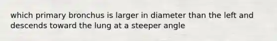 which primary bronchus is larger in diameter than the left and descends toward the lung at a steeper angle