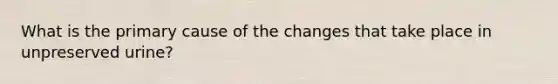 What is the primary cause of the changes that take place in unpreserved urine?