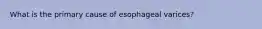 What is the primary cause of esophageal varices?