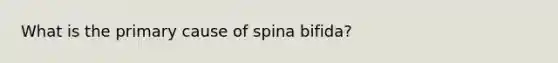 What is the primary cause of spina bifida?