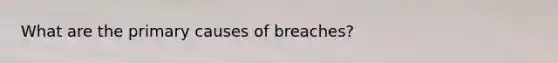 What are the primary causes of breaches?