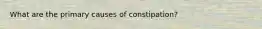 What are the primary causes of constipation?