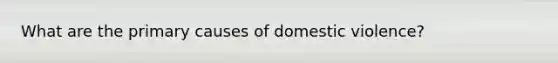 What are the primary causes of domestic violence?