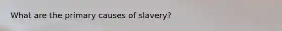 What are the primary causes of slavery?