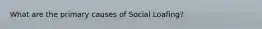 What are the primary causes of Social Loafing?