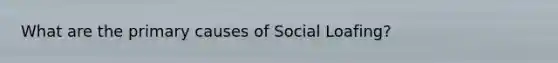 What are the primary causes of Social Loafing?