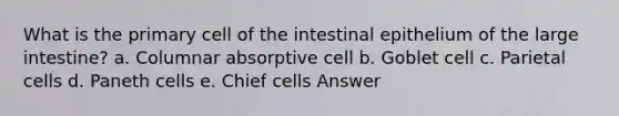 What is the primary cell of the intestinal epithelium of the <a href='https://www.questionai.com/knowledge/kGQjby07OK-large-intestine' class='anchor-knowledge'>large intestine</a>? a. Columnar absorptive cell b. Goblet cell c. Parietal cells d. Paneth cells e. Chief cells Answer