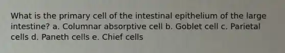 What is the primary cell of the intestinal epithelium of the large intestine? a. Columnar absorptive cell b. Goblet cell c. Parietal cells d. Paneth cells e. Chief cells