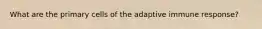 What are the primary cells of the adaptive immune response?