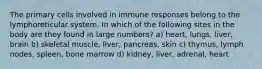 The primary cells involved in immune responses belong to the lymphoreticular system. In which of the following sites in the body are they found in large numbers? a) heart, lungs, liver, brain b) skeletal muscle, liver, pancreas, skin c) thymus, lymph nodes, spleen, bone marrow d) kidney, liver, adrenal, heart