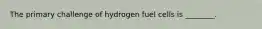 The primary challenge of hydrogen fuel cells is ________.