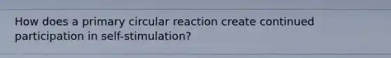 How does a primary circular reaction create continued participation in self-stimulation?