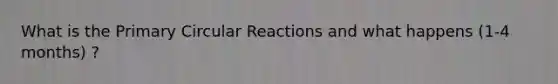 What is the Primary Circular Reactions and what happens (1-4 months) ?