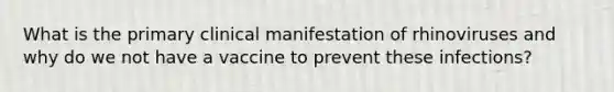 What is the primary clinical manifestation of rhinoviruses and why do we not have a vaccine to prevent these infections?