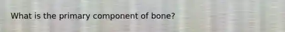 What is the primary component of bone?